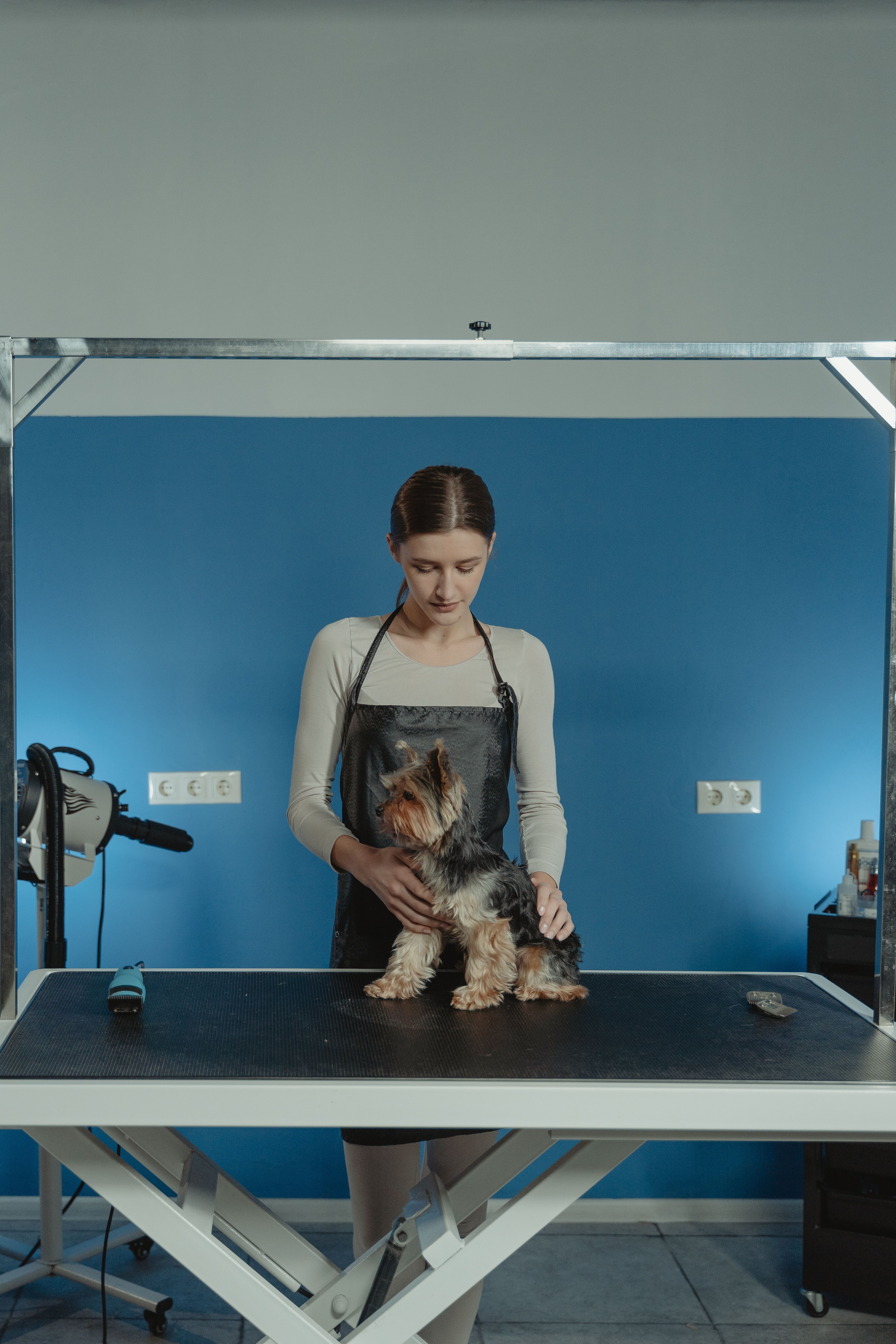 Female groomer styling a small long-coated dog on a grooming table